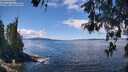 ./images/koeye/fitz-hugh/20260516/fitz-hugh20260516_123001M.jpg