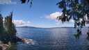 ./images/koeye/fitz-hugh/20260516/fitz-hugh20260516_124001M.jpg