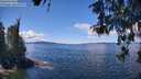 ./images/koeye/fitz-hugh/20260516/fitz-hugh20260516_124501M.jpg
