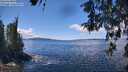 ./images/koeye/fitz-hugh/20260516/fitz-hugh20260516_130002M.jpg
