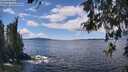 ./images/koeye/fitz-hugh/20260516/fitz-hugh20260516_132001M.jpg