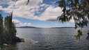 ./images/koeye/fitz-hugh/20260516/fitz-hugh20260516_132502M.jpg