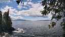 ./images/koeye/fitz-hugh/20260516/fitz-hugh20260516_135001M.jpg