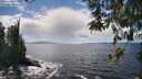 ./images/koeye/fitz-hugh/20260516/fitz-hugh20260516_143501M.jpg