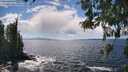 ./images/koeye/fitz-hugh/20260516/fitz-hugh20260516_144001M.jpg