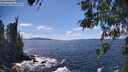 ./images/koeye/fitz-hugh/20260516/fitz-hugh20260516_151501M.jpg
