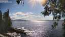 ./images/koeye/fitz-hugh/20260516/fitz-hugh20260516_171002M.jpg