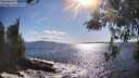 ./images/koeye/fitz-hugh/20260516/fitz-hugh20260516_173001M.jpg