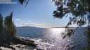 ./images/koeye/fitz-hugh/20260516/fitz-hugh20260516_173501M.jpg