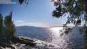 ./images/koeye/fitz-hugh/20260516/fitz-hugh20260516_174501M.jpg