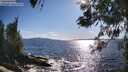 ./images/koeye/fitz-hugh/20260516/fitz-hugh20260516_175001M.jpg