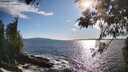 ./images/koeye/fitz-hugh/20260516/fitz-hugh20260516_180501M.jpg