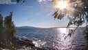 ./images/koeye/fitz-hugh/20260516/fitz-hugh20260516_182501M.jpg