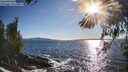 ./images/koeye/fitz-hugh/20260516/fitz-hugh20260516_183001M.jpg