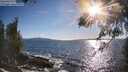 ./images/koeye/fitz-hugh/20260516/fitz-hugh20260516_183501M.jpg