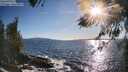 ./images/koeye/fitz-hugh/20260516/fitz-hugh20260516_184001M.jpg