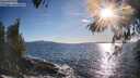 ./images/koeye/fitz-hugh/20260516/fitz-hugh20260516_184501M.jpg