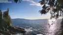 ./images/koeye/fitz-hugh/20260516/fitz-hugh20260516_191501M.jpg