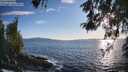 ./images/koeye/fitz-hugh/20260516/fitz-hugh20260516_192001M.jpg