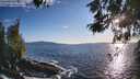 ./images/koeye/fitz-hugh/20260516/fitz-hugh20260516_192501M.jpg