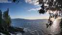 ./images/koeye/fitz-hugh/20260516/fitz-hugh20260516_194501M.jpg