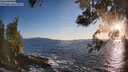 ./images/koeye/fitz-hugh/20260516/fitz-hugh20260516_201001M.jpg