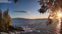 ./images/koeye/fitz-hugh/20260516/fitz-hugh20260516_203501M.jpg