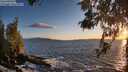 ./images/koeye/fitz-hugh/20260516/fitz-hugh20260516_204001M.jpg