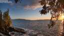 ./images/koeye/fitz-hugh/20260516/fitz-hugh20260516_204501M.jpg