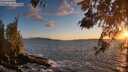 ./images/koeye/fitz-hugh/20260516/fitz-hugh20260516_205001M.jpg