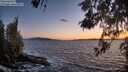 ./images/koeye/fitz-hugh/20260516/fitz-hugh20260516_212501M.jpg