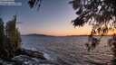 ./images/koeye/fitz-hugh/20260516/fitz-hugh20260516_213002M.jpg