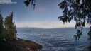 ./images/koeye/fitz-hugh/20260517/fitz-hugh20260517_072001M.jpg