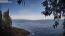 ./images/koeye/fitz-hugh/20260517/fitz-hugh20260517_072501M.jpg