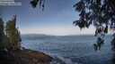 ./images/koeye/fitz-hugh/20260517/fitz-hugh20260517_073501M.jpg