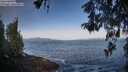 ./images/koeye/fitz-hugh/20260517/fitz-hugh20260517_074501M.jpg