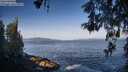 ./images/koeye/fitz-hugh/20260517/fitz-hugh20260517_081001M.jpg