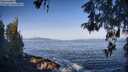 ./images/koeye/fitz-hugh/20260517/fitz-hugh20260517_082001M.jpg