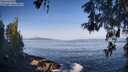 ./images/koeye/fitz-hugh/20260517/fitz-hugh20260517_083002M.jpg