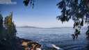 ./images/koeye/fitz-hugh/20260517/fitz-hugh20260517_083501M.jpg
