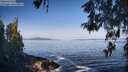 ./images/koeye/fitz-hugh/20260517/fitz-hugh20260517_084501M.jpg