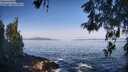 ./images/koeye/fitz-hugh/20260517/fitz-hugh20260517_085002M.jpg
