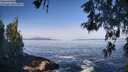 ./images/koeye/fitz-hugh/20260517/fitz-hugh20260517_090002M.jpg