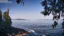 ./images/koeye/fitz-hugh/20260517/fitz-hugh20260517_092502M.jpg