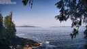 ./images/koeye/fitz-hugh/20260517/fitz-hugh20260517_093001M.jpg