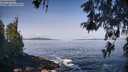 ./images/koeye/fitz-hugh/20260517/fitz-hugh20260517_094001M.jpg