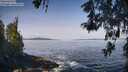 ./images/koeye/fitz-hugh/20260517/fitz-hugh20260517_094501M.jpg