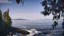 ./images/koeye/fitz-hugh/20260517/fitz-hugh20260517_095002M.jpg