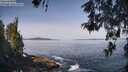 ./images/koeye/fitz-hugh/20260517/fitz-hugh20260517_100002M.jpg