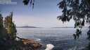 ./images/koeye/fitz-hugh/20260517/fitz-hugh20260517_100501M.jpg